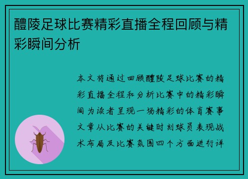 醴陵足球比赛精彩直播全程回顾与精彩瞬间分析