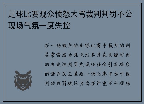 足球比赛观众愤怒大骂裁判判罚不公现场气氛一度失控