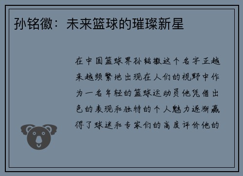 孙铭徽：未来篮球的璀璨新星