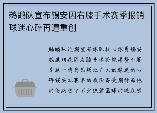 鹈鹕队宣布锡安因右膝手术赛季报销球迷心碎再遭重创