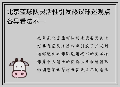 北京篮球队灵活性引发热议球迷观点各异看法不一