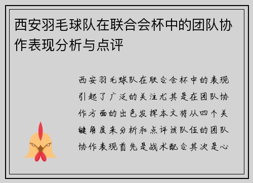 西安羽毛球队在联合会杯中的团队协作表现分析与点评